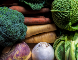 {{brizy_dc_image_alt imageSrc=